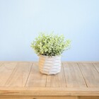 Arranjo De Folhagem Artificial No Vaso Geométrico | Formosinha